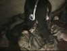h1k21k0m0r1 Altpins Profile Picture