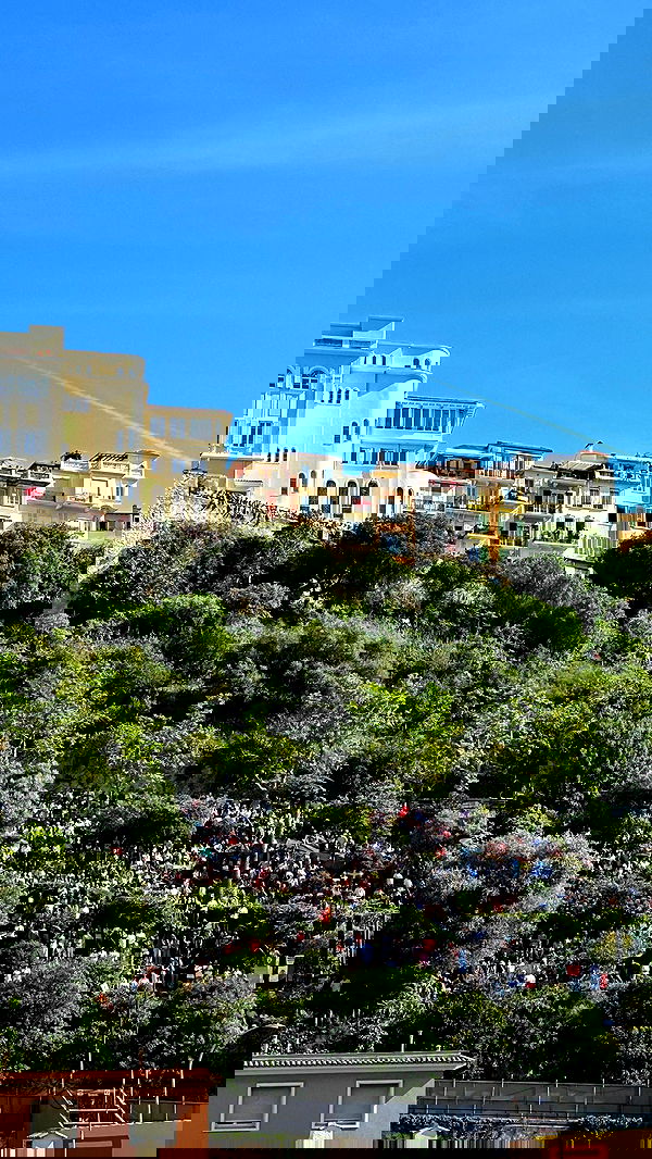 taylor.creeden taylor.creeden archive image