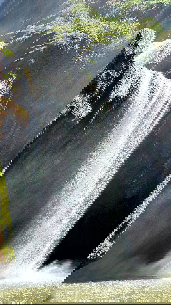 manjolamuriqi manjolamuriqi archive image