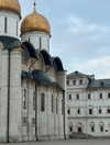 vollkova__ Altpins Profile Picture