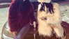 zhenya_meval Altpins Profile Picture
