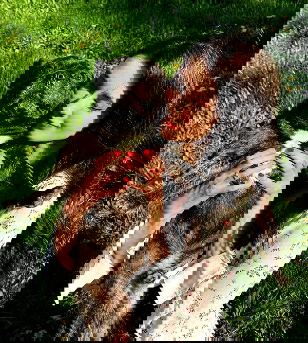 hanna_ky hanna_ky archive image