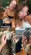 roni_ackerman Altpins Profile Picture