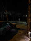 alishenyka Altpins Profile Picture