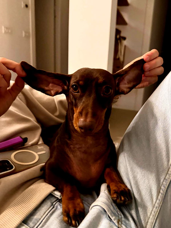 maya.keyy instagram image archive image
