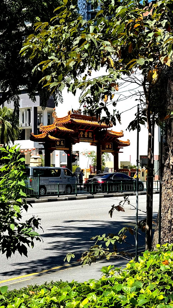 lital.oss instagram image archive image