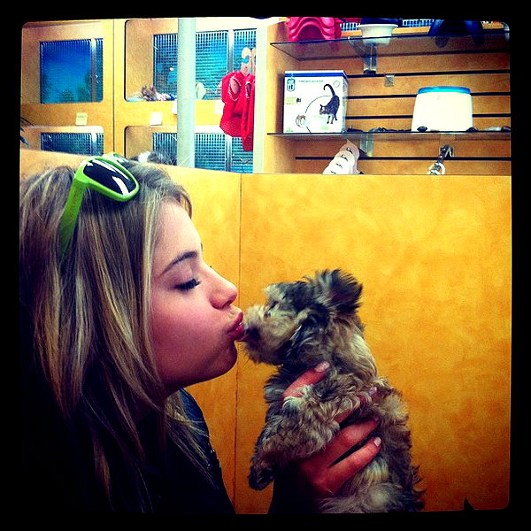 ashleybenson instagram image archive image