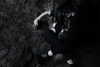 jane______doee Altpins Profile Picture