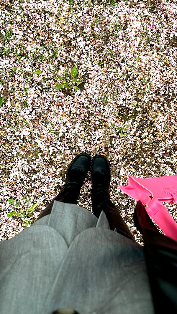 melsaimc instagram image archive image