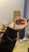 livindeadyaz Altpins Profile Picture