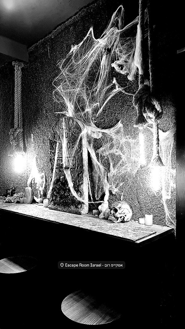 noam.88 noam.88 archive image