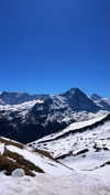 lotembar Altpins Profile Picture