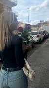 federica.piccinni Altpins Profile Picture