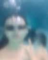 taratornquist Altpins Profile Picture