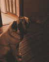 mishel_llll Altpins Profile Picture
