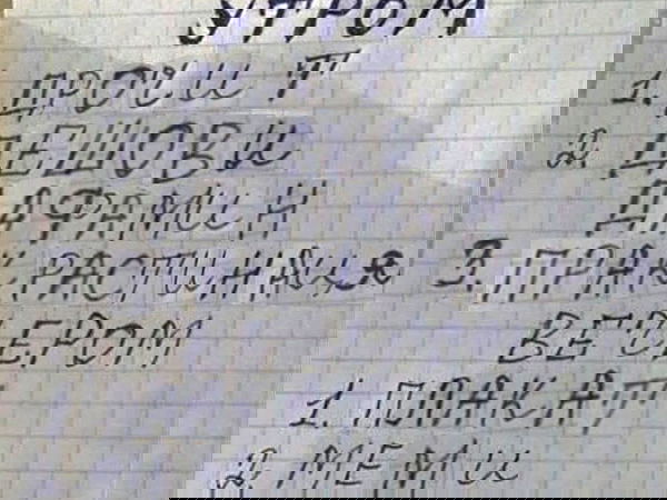 annfigmax image ~ Altpins