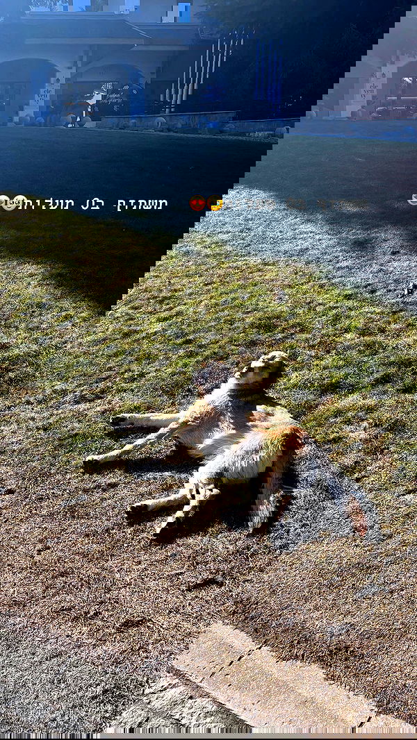 natalllluli natalllluli archive image