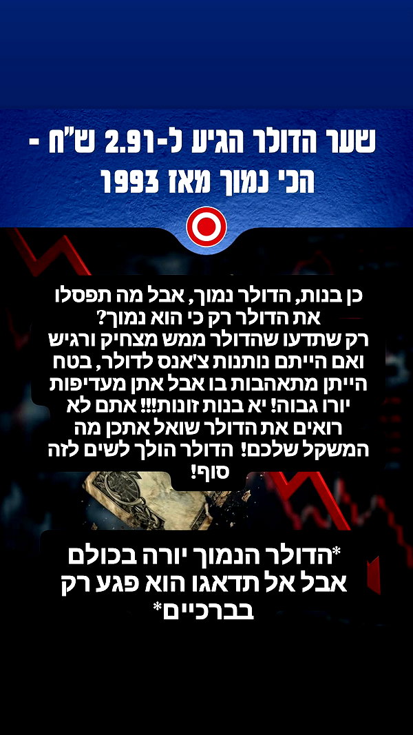 noy__erel noy__erel archive image