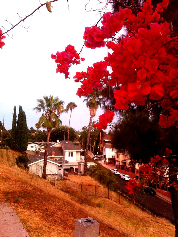 cialikechia instagram image archive image