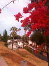 cialikechia Altpins Profile Picture