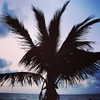kafelnikova_a Altpins Profile Picture