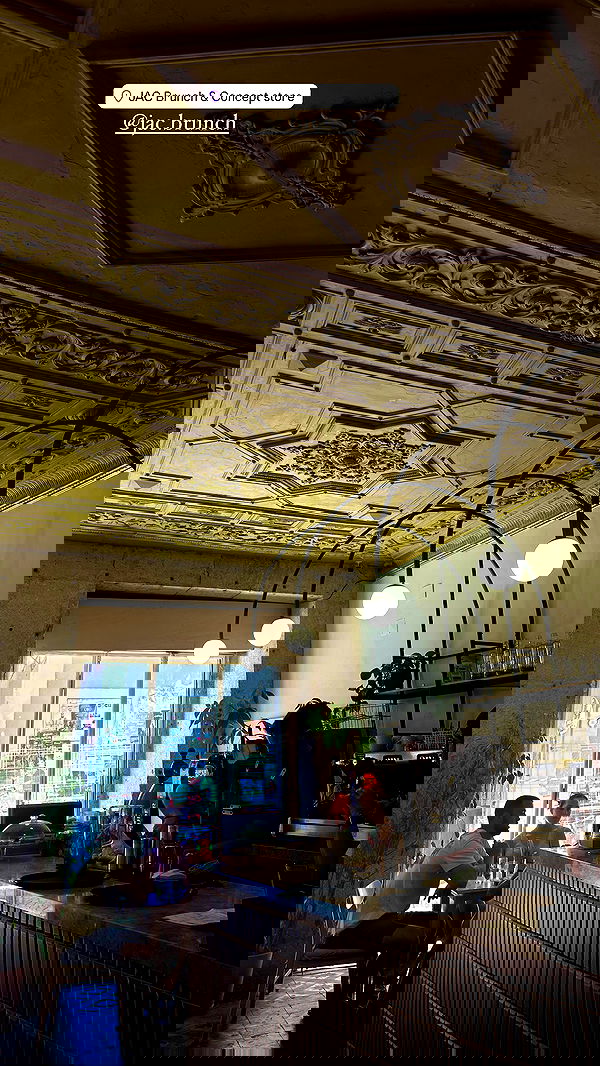 taylor.creeden taylor.creeden archive image