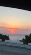 michalcohen___ Altpins Profile Picture