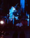 cannonstheband Altpins Profile Picture