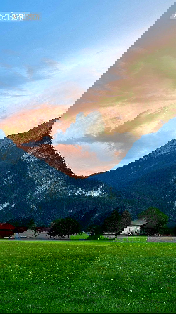 swfx_real swfx_real archive image