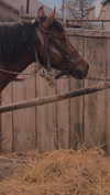 alisen.mari Altpins Profile Picture