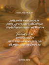 hilla.sela Altpins Profile Picture