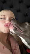 b6ylexx Altpins Profile Picture