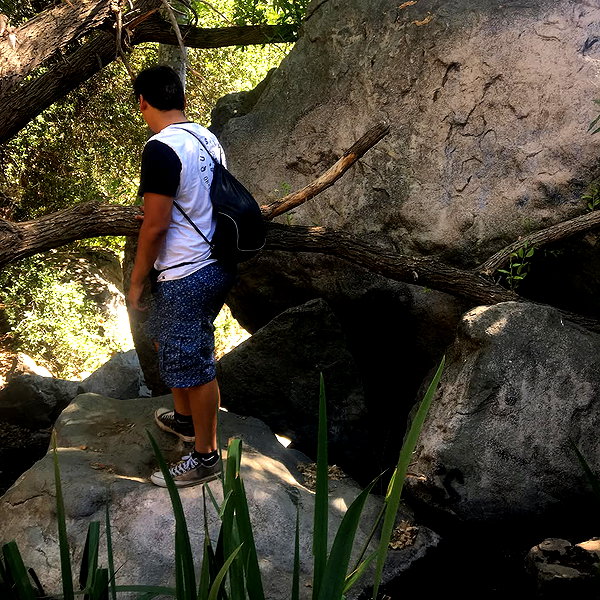 haileylayfield instagram image archive image
