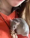 luvstuff3r Altpins Profile Picture