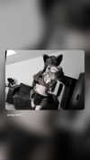 angvethh Altpins Profile Picture
