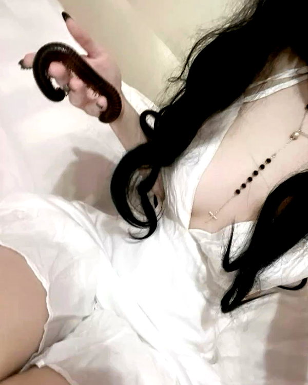 svcriligiosa instagram image archive image