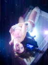 blossom_in_my_moonlight Altpins Profile Picture