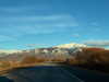 solzarubin_ Altpins Profile Picture