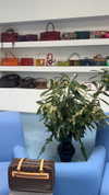 dekota_thompson Altpins Profile Picture