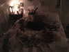 ash.onme Altpins Profile Picture