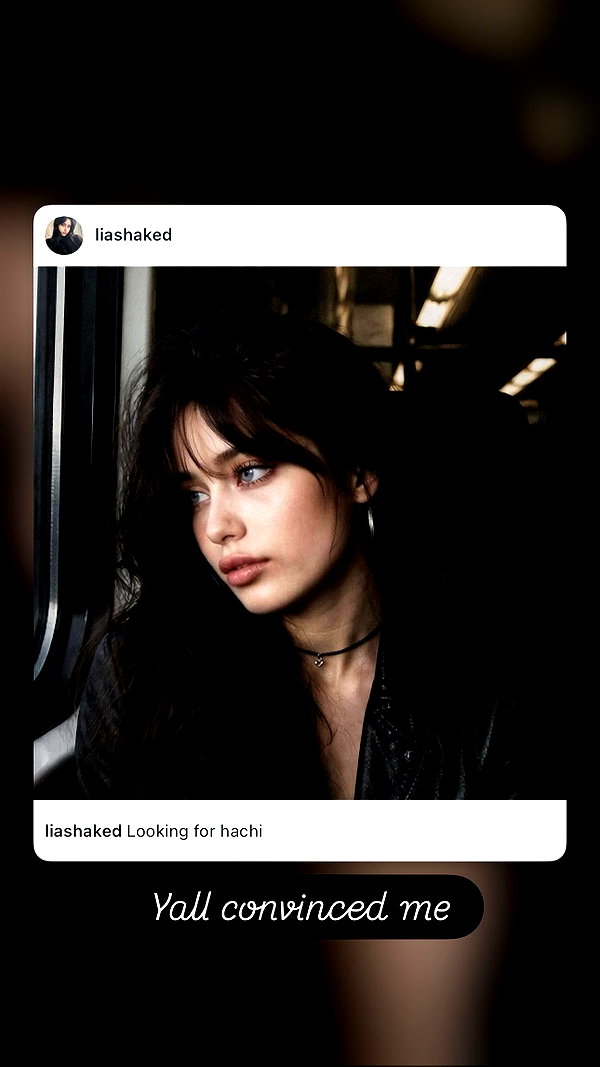 liashaked instagram image archive image