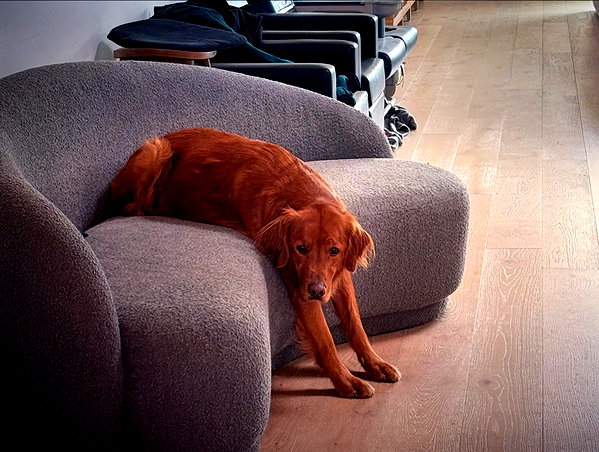 gabimfmoura instagram image archive image