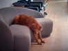 gabimfmoura Altpins Profile Picture