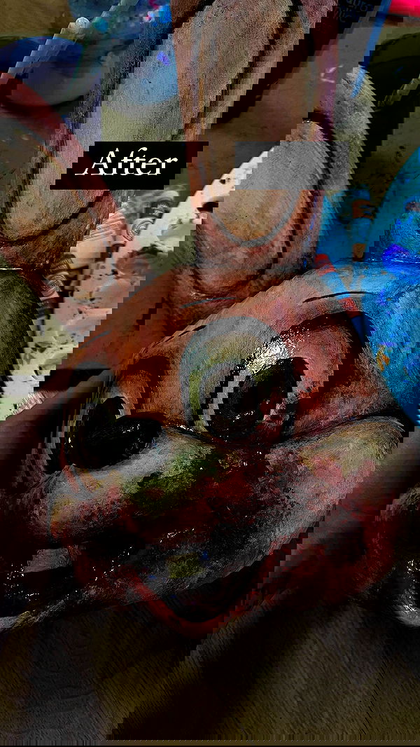 milkgore milkgore archive image