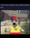 leanbeefpatty Altpins Profile Picture