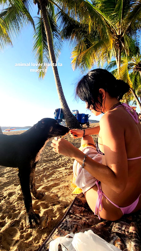mosssaico instagram image archive image