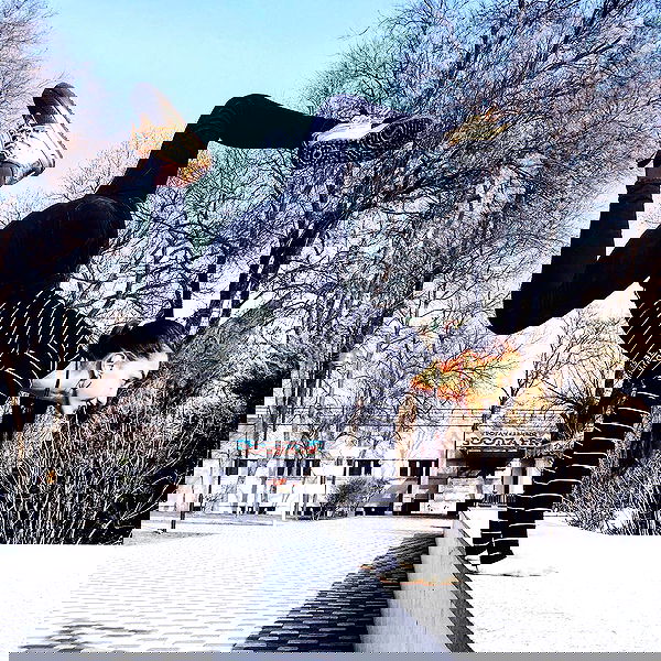 kkulakovaa image ~ Altpins