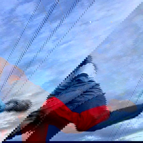 annfigmax image ~ Altpins