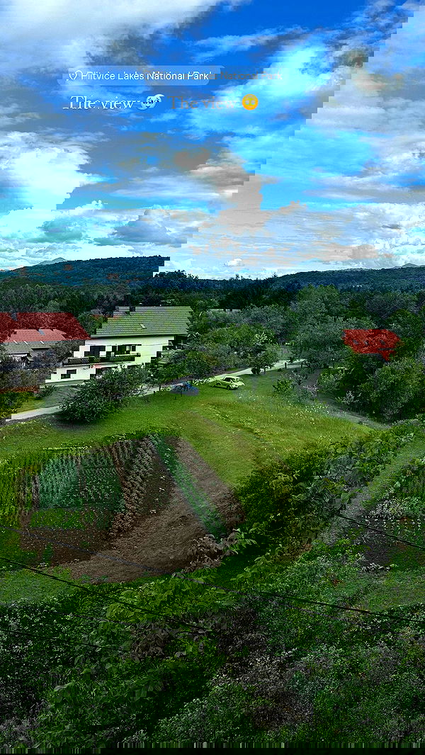 taylor.creeden taylor.creeden archive image