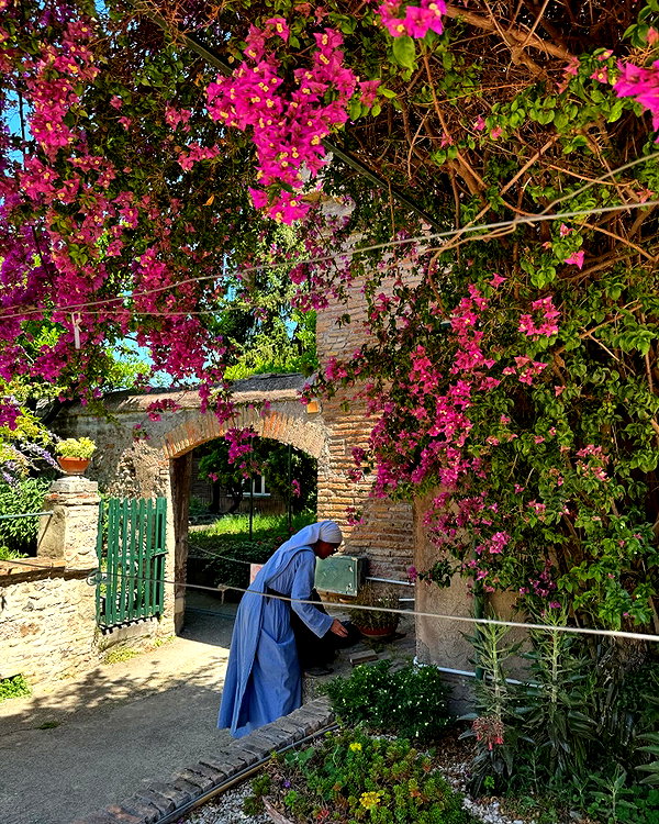 chelsnamsayin instagram image archive image